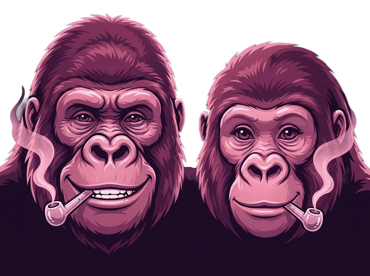Close-up of a male and female gorilla smoking from glass pipes, both with relaxed expressions on a dark background.