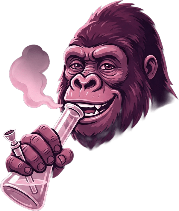 Close-up of a gorilla’s head smoking from a glass bong with a relaxed smile on a dark minimal background.